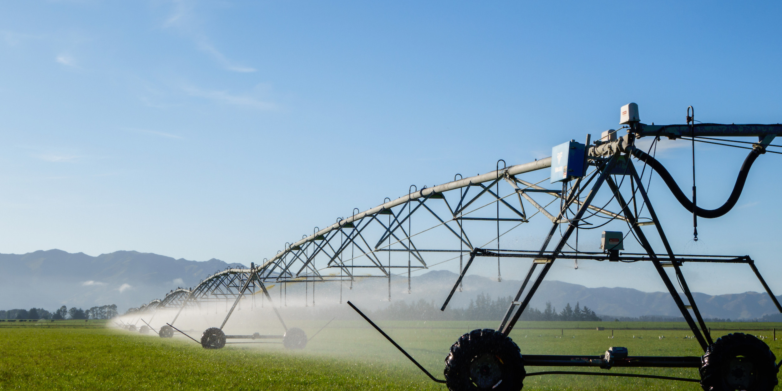 Why irrigate when we can innovate? Forest and Bird